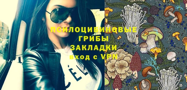 винт Инсар