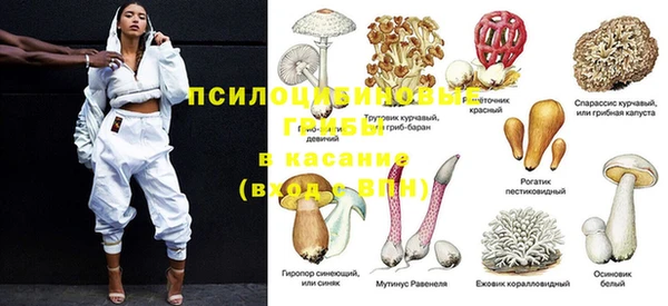 прущая мука Иннополис
