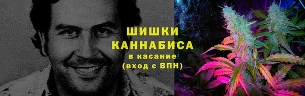 прущая мука Иннополис