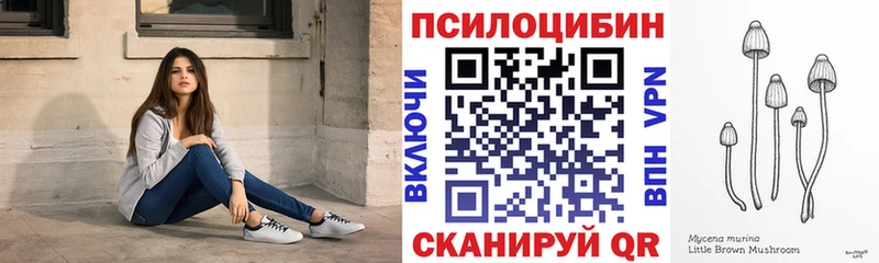 Псилоцибиновые грибы Cubensis  Кувандык 